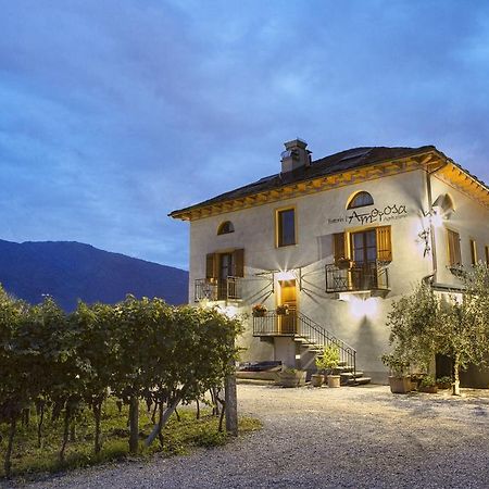 Fattoria L'Amorosa Sementina الغرفة الصورة